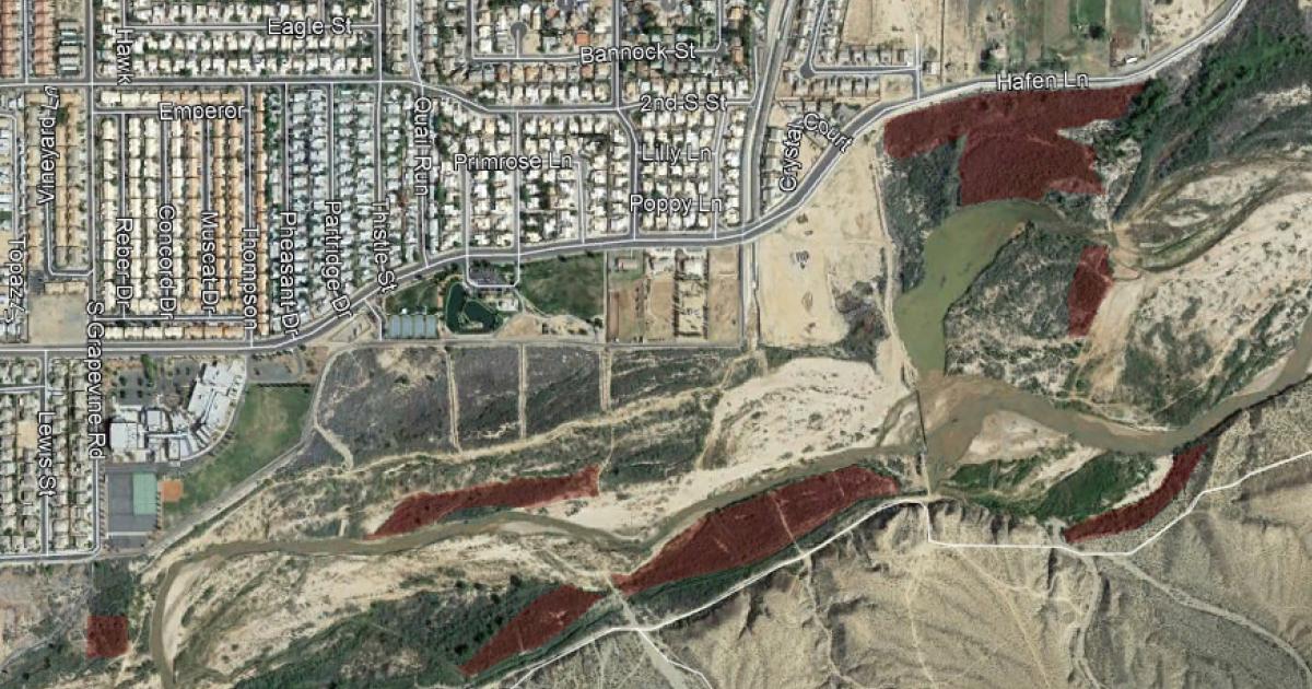 Bureau of Land Management to begin removing invasive tamarisk along Virgin River near Mesquite